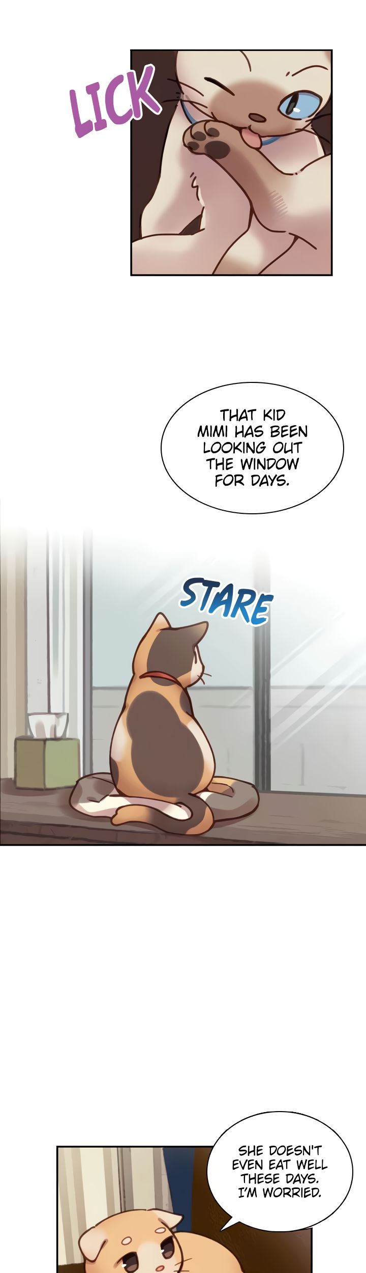 INVITED TO THE CAT CAFÉ Chapter 32 image 6