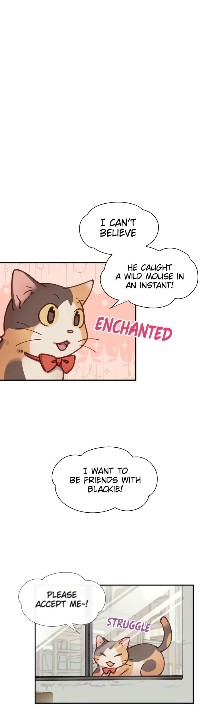 INVITED TO THE CAT CAFÉ Chapter 33 image 0