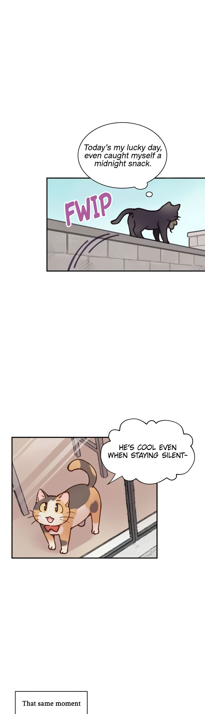 INVITED TO THE CAT CAFÉ Chapter 33 image 3