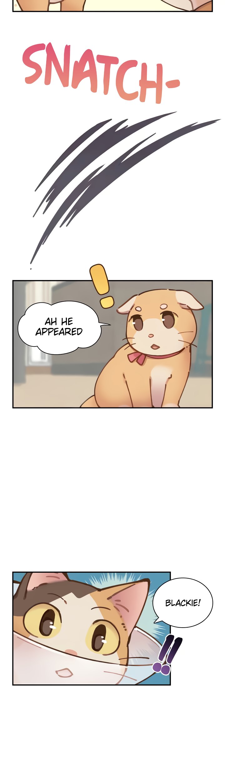 INVITED TO THE CAT CAFÉ Chapter 36 image 16