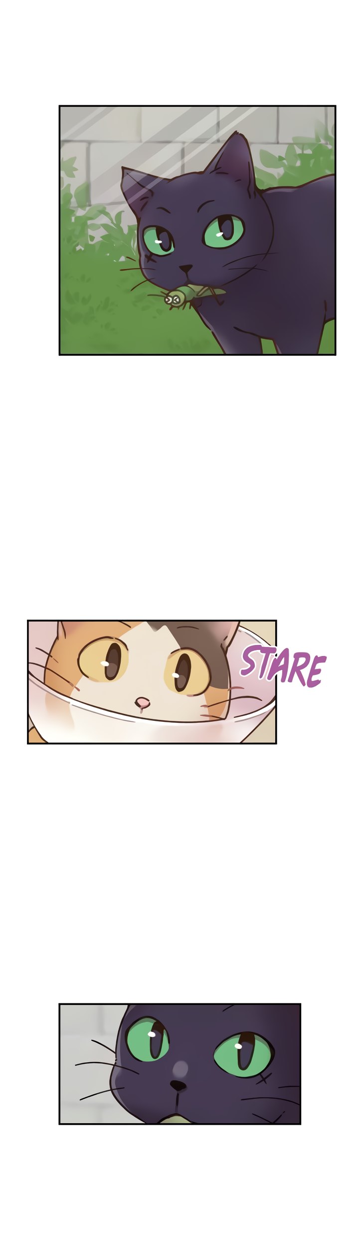 INVITED TO THE CAT CAFÉ Chapter 36 image 17