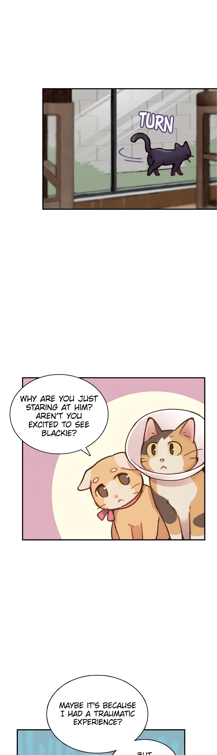 INVITED TO THE CAT CAFÉ Chapter 36 image 18