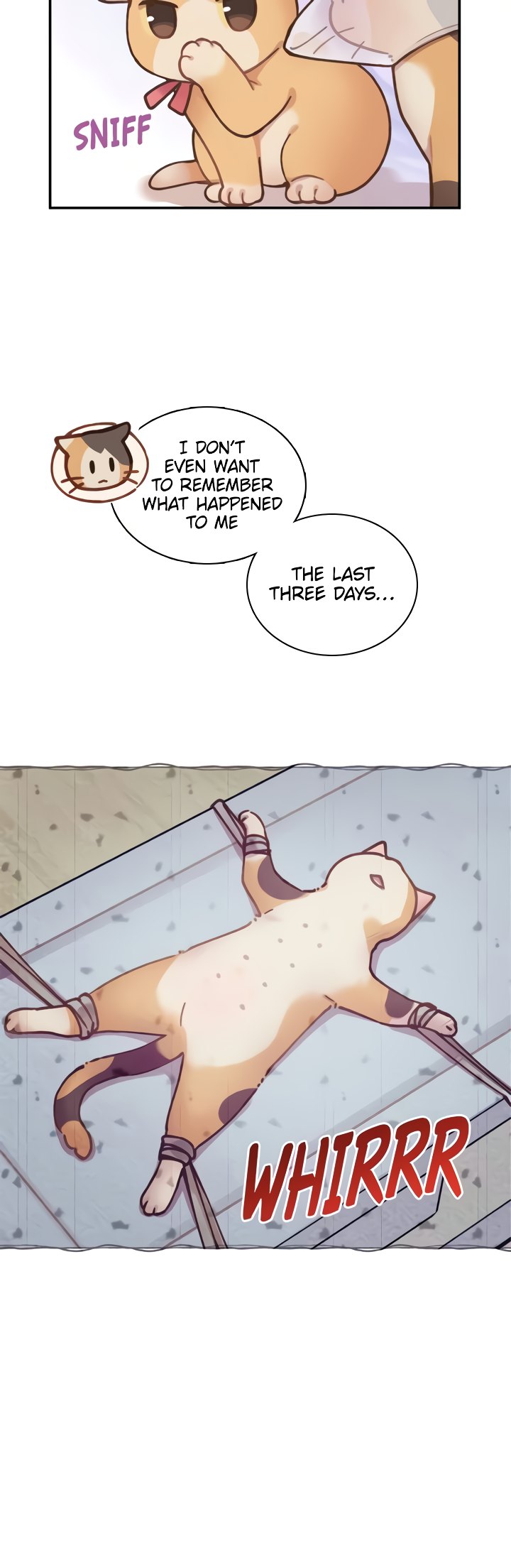 INVITED TO THE CAT CAFÉ Chapter 37 image 1