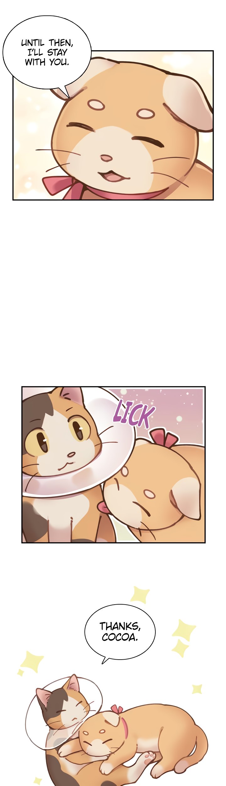 INVITED TO THE CAT CAFÉ Chapter 37 image 4