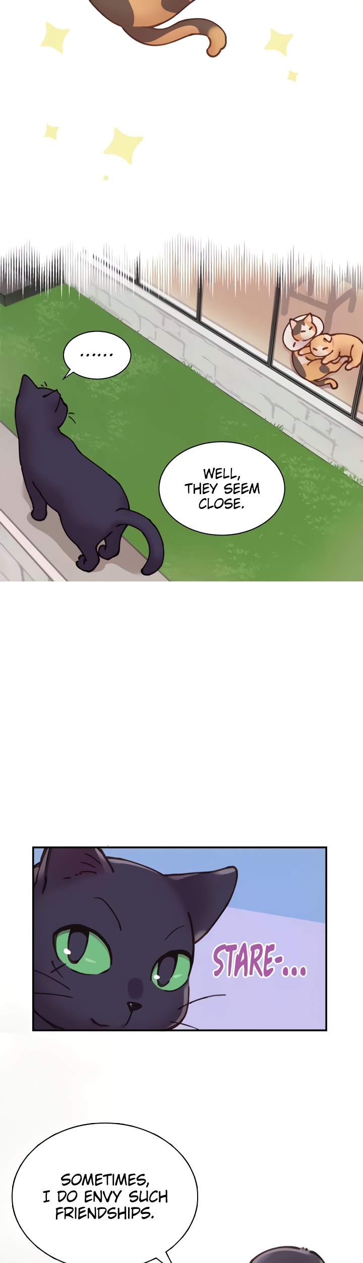 INVITED TO THE CAT CAFÉ Chapter 37 image 5