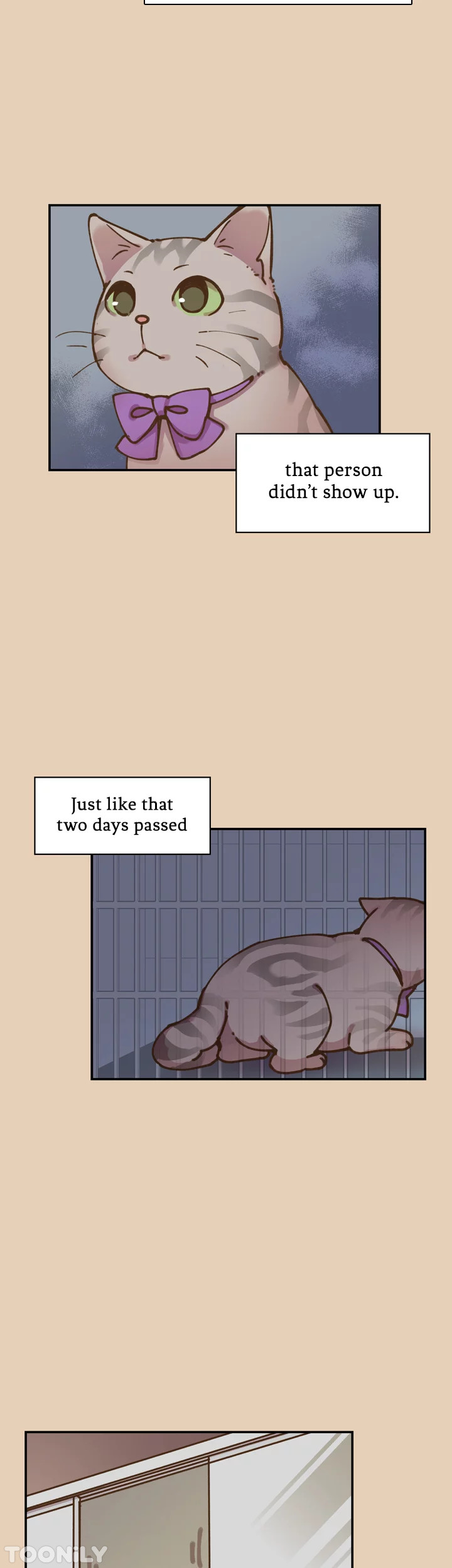 INVITED TO THE CAT CAFÉ Chapter 43 image 13