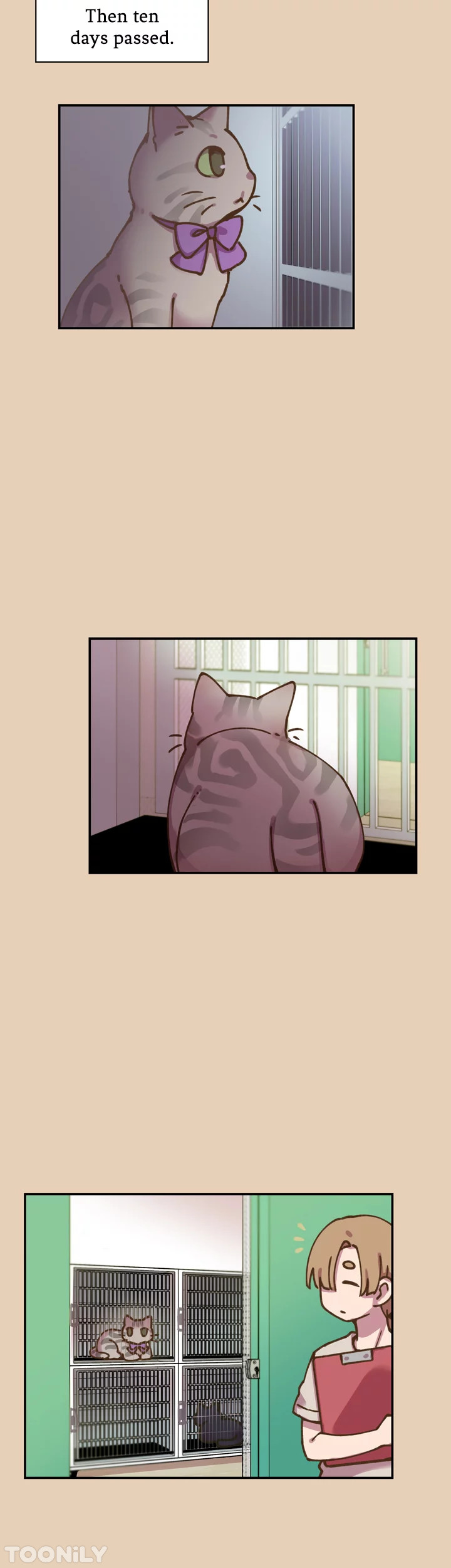 INVITED TO THE CAT CAFÉ Chapter 43 image 15