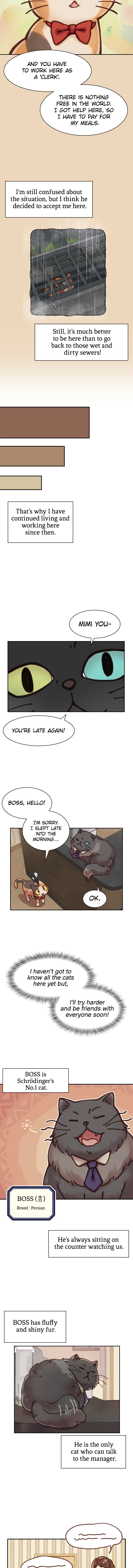 INVITED TO THE CAT CAFÉ Chapter 5 image 5