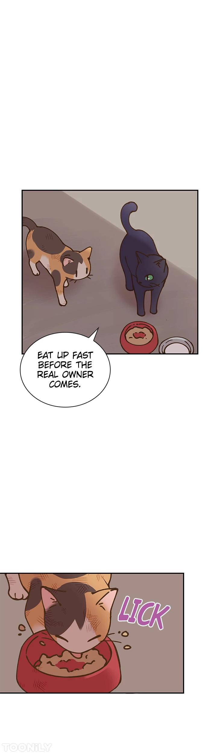 INVITED TO THE CAT CAFÉ Chapter 50 image 10