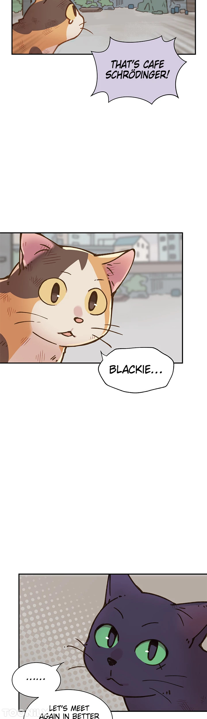 INVITED TO THE CAT CAFÉ Chapter 50 image 16