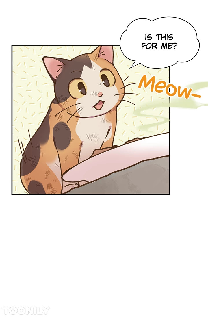 INVITED TO THE CAT CAFÉ Chapter 50 image 1