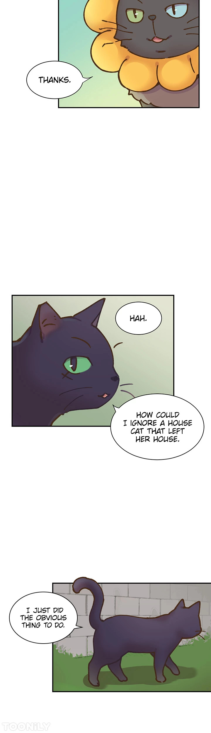INVITED TO THE CAT CAFÉ Chapter 51 image 16