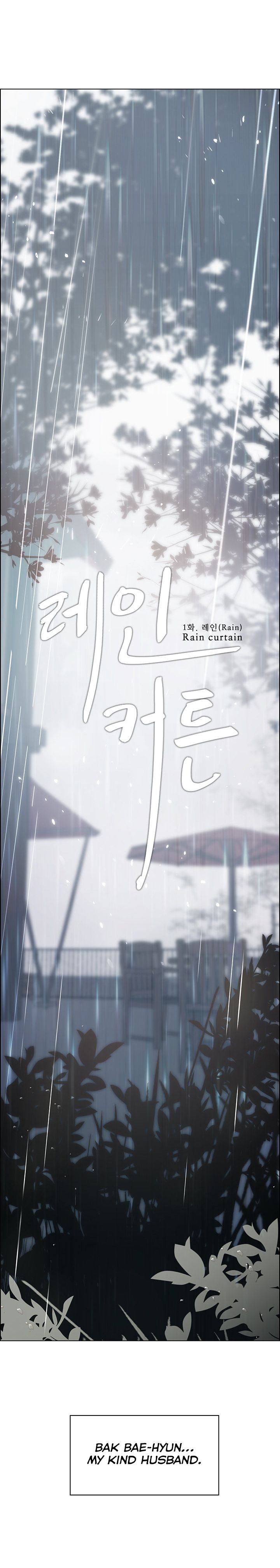 Rain Curtain Chapter 1 image 25