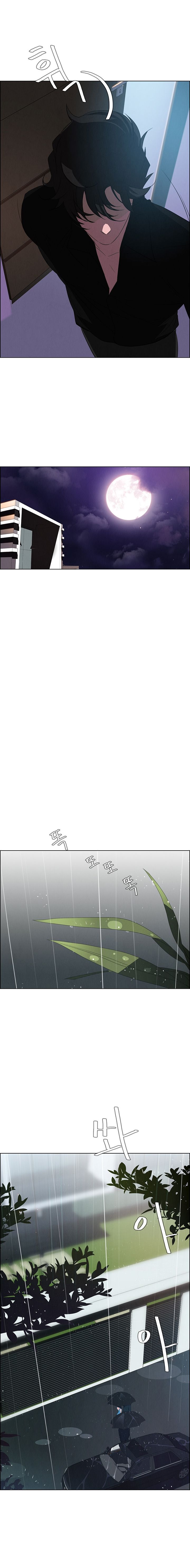 Rain Curtain Chapter 25 image 2