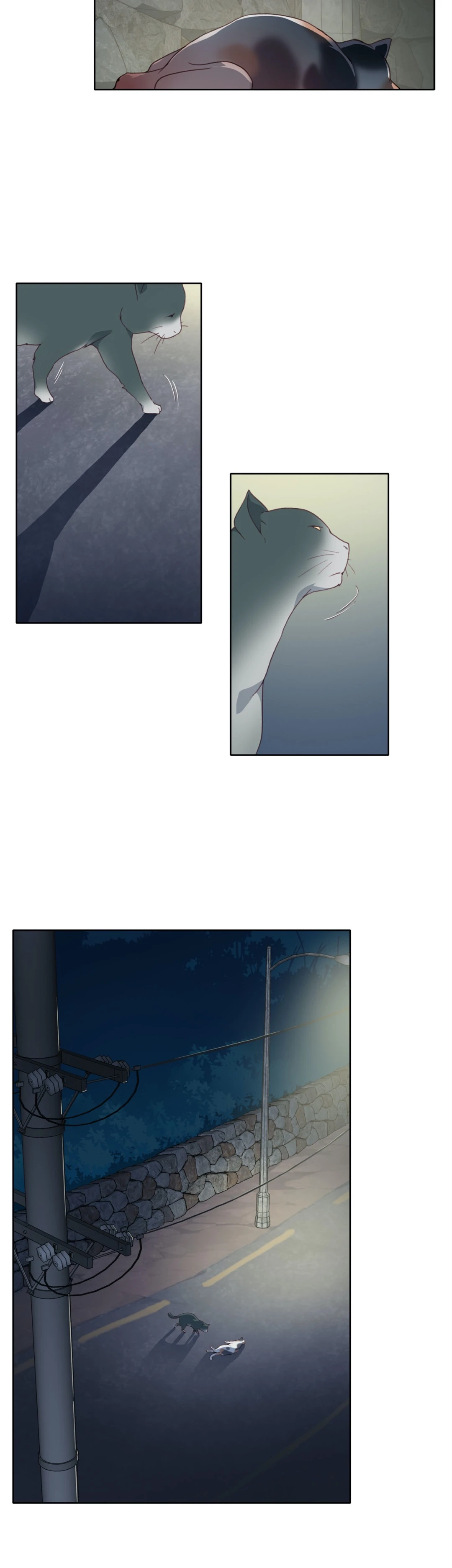 Blood on the wall Chapter 6 image 13
